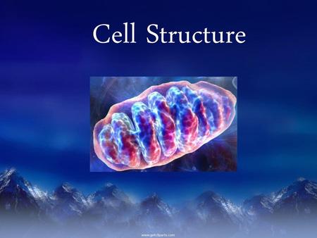 Cell Structure.