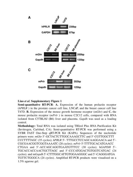 A B C Liao et al. Supplementary Figure 1