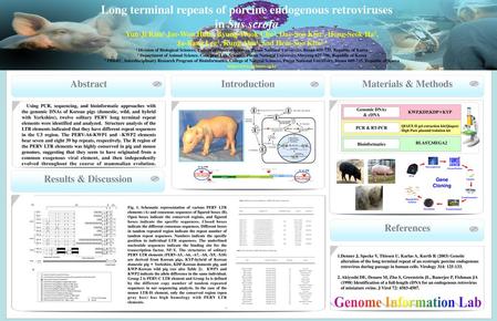 Long terminal repeats of porcine endogenous retroviruses in Sus scrofa