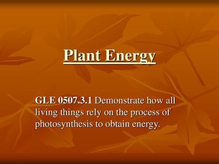 Plant Energy GLE 0507.3.1 Demonstrate how all living things rely on the process of photosynthesis to obtain energy.