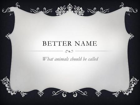 What animals should be called