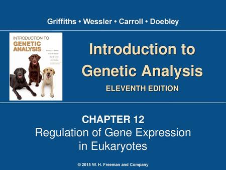 Introduction to Genetic Analysis