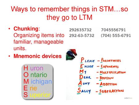 Ways to remember things in STM…so they go to LTM