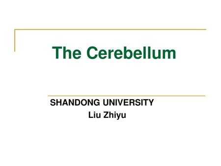 SHANDONG UNIVERSITY Liu Zhiyu