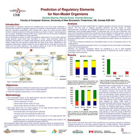 Prediction of Regulatory Elements for Non-Model Organisms   Rachita Sharma, Patricia.