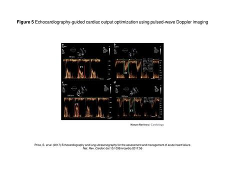 Nat. Rev. Cardiol. doi: /nrcardio