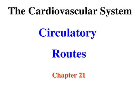 The Cardiovascular System