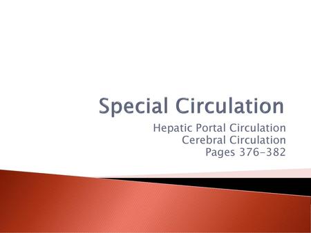 Hepatic Portal Circulation Cerebral Circulation Pages