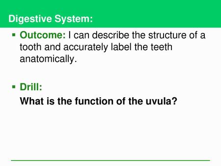 Digestive System: Outcome: I can describe the structure of a tooth and accurately label the teeth anatomically. Drill: What is the function of the uvula?