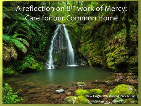 A reflection on 8th work of Mercy: Care for our Common Home