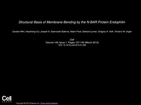 Structural Basis of Membrane Bending by the N-BAR Protein Endophilin