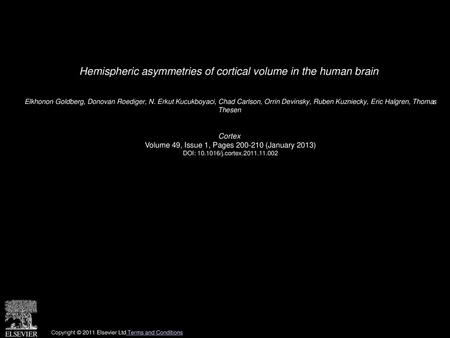 Hemispheric asymmetries of cortical volume in the human brain