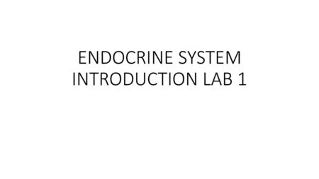 ENDOCRINE SYSTEM INTRODUCTION LAB 1