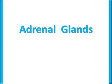 Adrenal Glands.