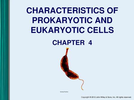 CHARACTERISTICS OF PROKARYOTIC AND EUKARYOTIC CELLS