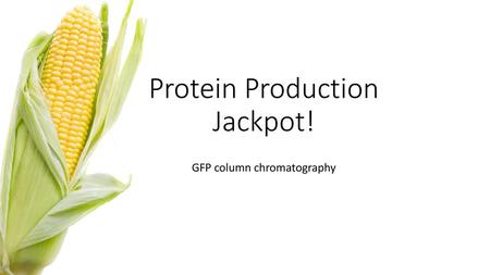 Protein Production Jackpot!