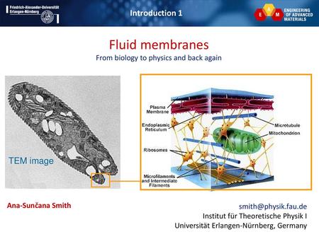 Fluid membranes From biology to physics and back again