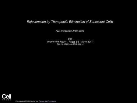 Rejuvenation by Therapeutic Elimination of Senescent Cells