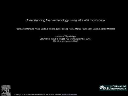 Understanding liver immunology using intravital microscopy