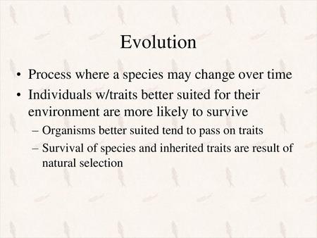 Evolution Process where a species may change over time