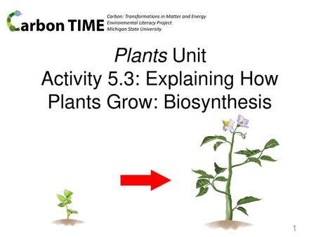 Plants Unit Activity 5.3: Explaining How Plants Grow: Biosynthesis