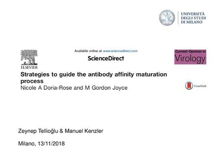 Strategies to guide the affinity maturation process