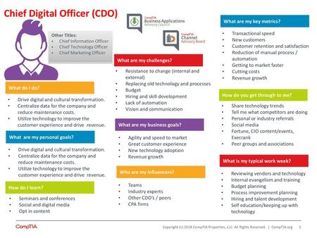 Chief Digital Officer (CDO)