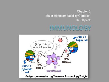 Chapter 8 Major Histocompatibility Complex Dr. Capers