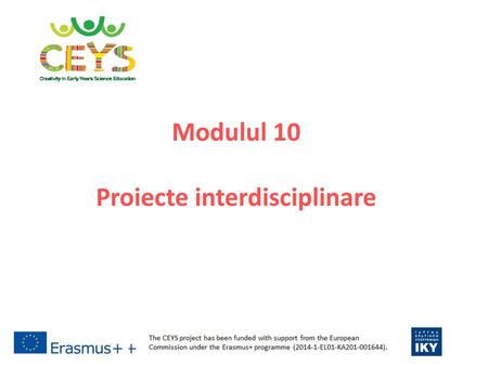 Modulul 10 Proiecte interdisciplinare