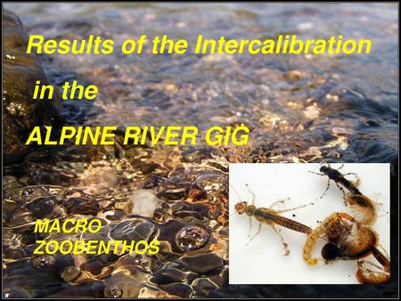 Results of the Intercalibration in the ALPINE RIVER GIG