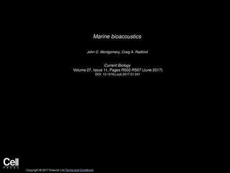 Marine bioacoustics Current Biology