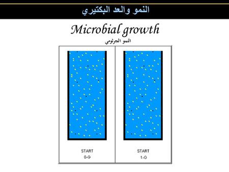 النمو والعد البكتيري Microbial growth النمو الجرثومي.