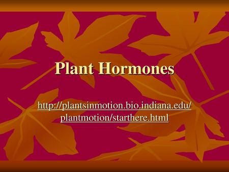 Plant Hormones http://plantsinmotion.bio.indiana.edu/plantmotion/starthere.html.