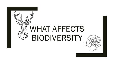 What affects biodiversity