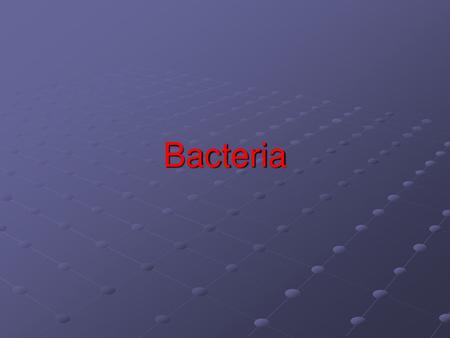 Bacteria.