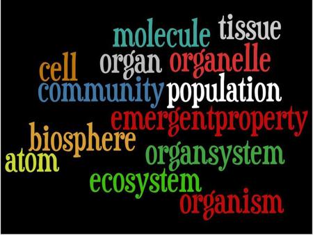 Bio Bingo 1-5 a group of localized tissues in the body which perform similar functions novel characteristics that appear at each level of the biological.