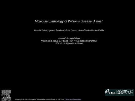 Molecular pathology of Wilson’s disease: A brief