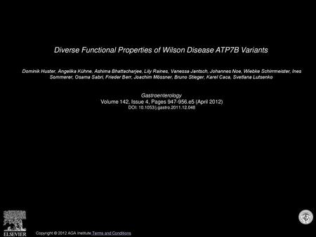 Diverse Functional Properties of Wilson Disease ATP7B Variants