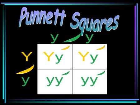 Punnett Squares.