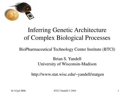 Inferring Genetic Architecture of Complex Biological Processes BioPharmaceutical Technology Center Institute (BTCI) Brian S. Yandell University of Wisconsin-Madison.