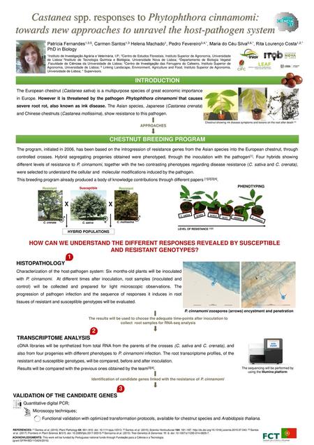 CHESTNUT BREEDING PROGRAM