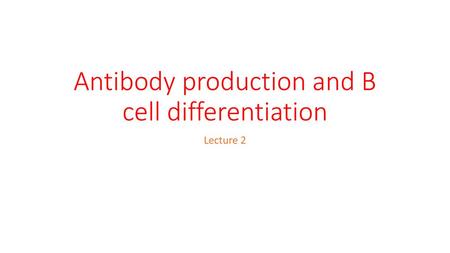 Antibody production and B cell differentiation