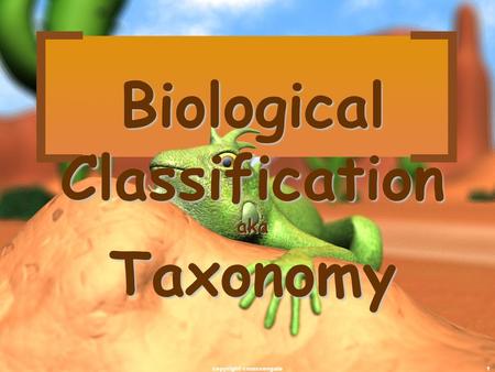 Biological Classification aka Taxonomy