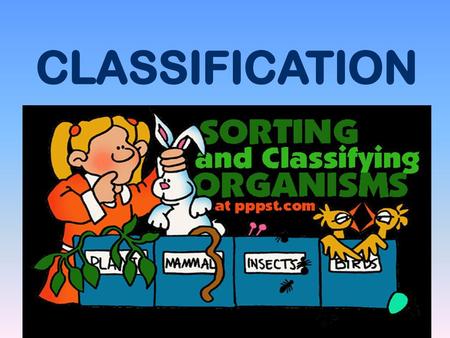 CLASSIFICATION.