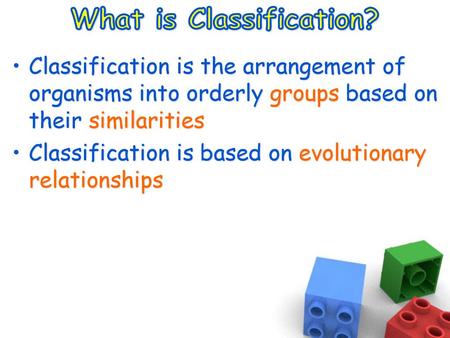 What is Classification?