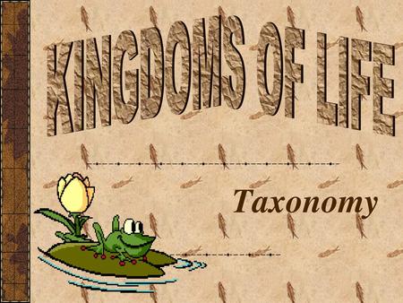 KINGDOMS OF LIFE Taxonomy.