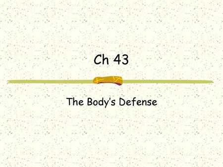 Ch 43 The Body’s Defense.