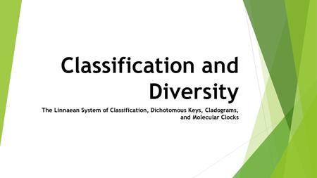 Classification and Diversity