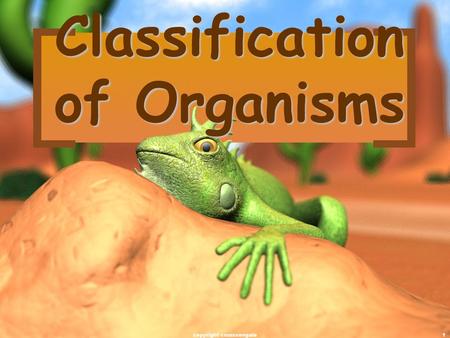 Classification of Organisms