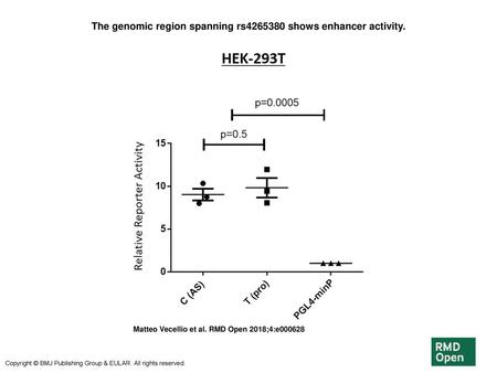 The genomic region spanning rs shows enhancer activity.